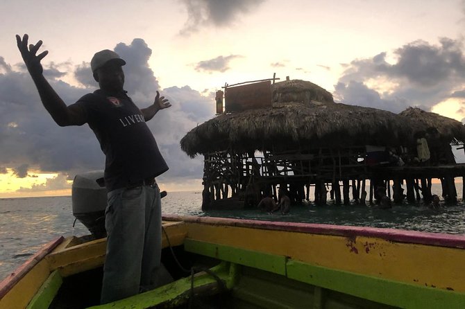 YS Falls, Black River Safari, Floyd’s Pelican Bar - YS Falls: swimming, photos, and a paid zipline option