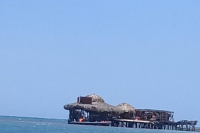 YS Falls & Pelican Bar Tour - Floyd’s Pelican Bar is simple, social, and not for everyone