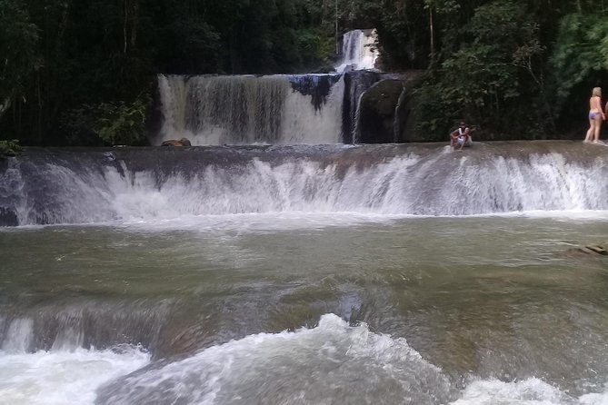 YS Falls & Pelican Bar Tour - Who will enjoy this tour most