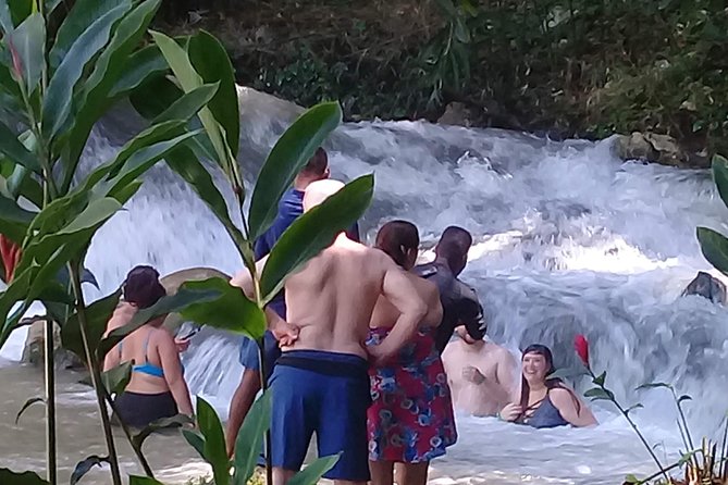 YS Falls & Pelican Bar Tour - The drive can become part of the experience